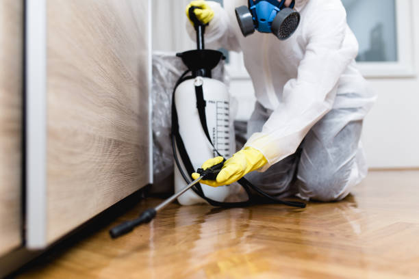 Best Pest Inspection Near Me  in Elkhart, TX