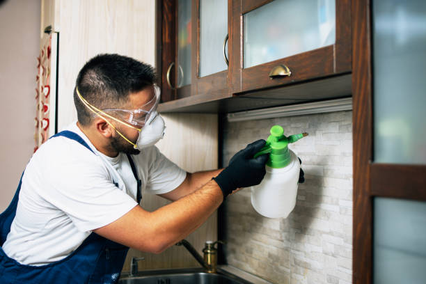 Best Pest Control Cost  in Elkhart, TX