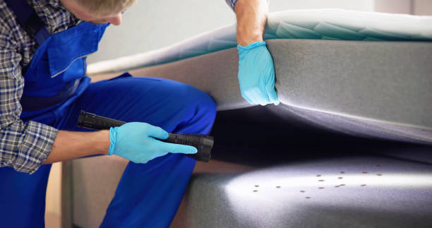 Pest Control Cost in Elkhart, TX