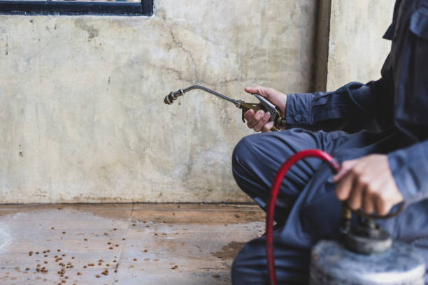Best Affordable Pest Control Services  in Elkhart, TX