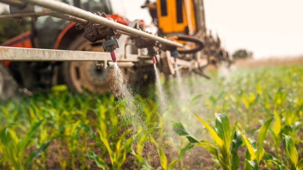 Best Ant Control Services  in Elkhart, TX